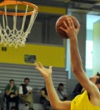 Τσιόκος Νίκος